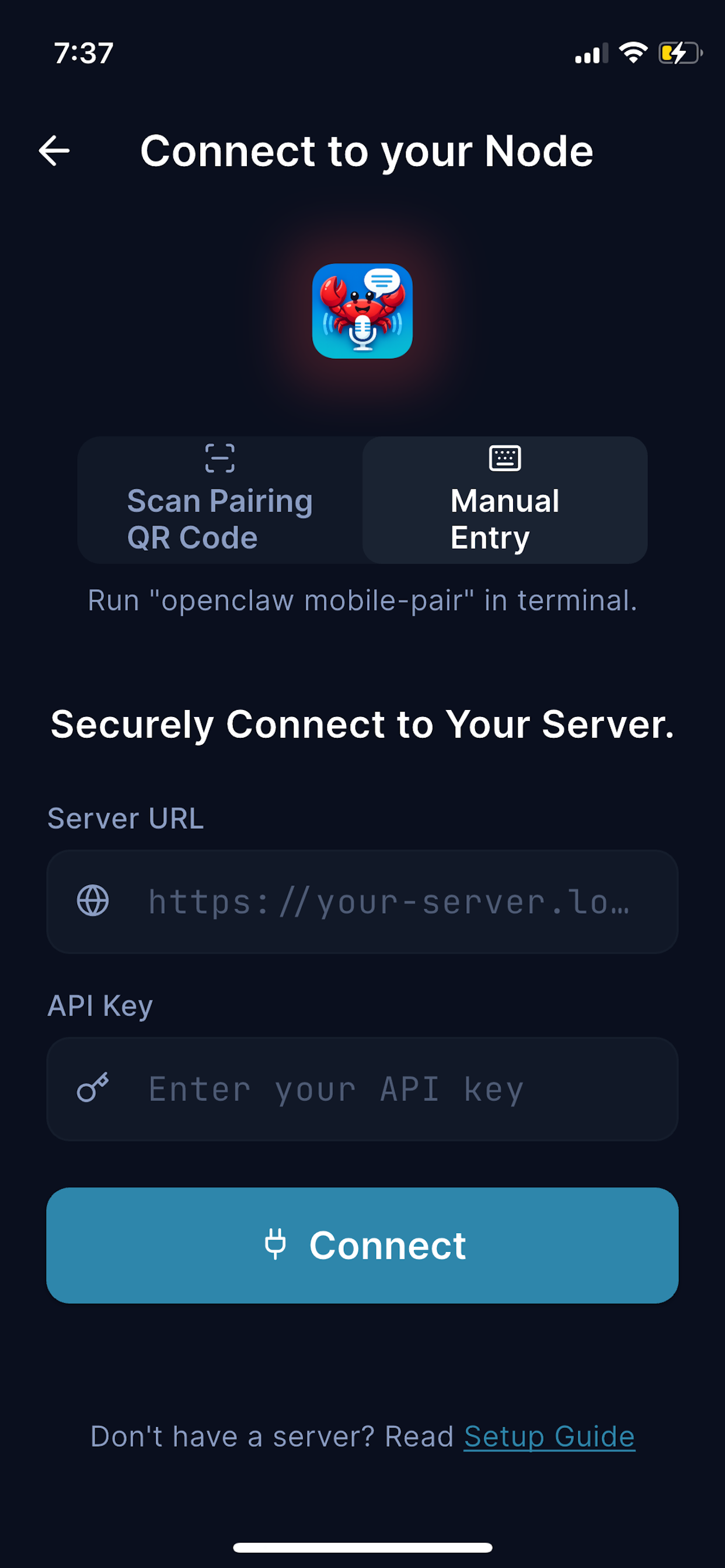 Manual server URL and API key entry